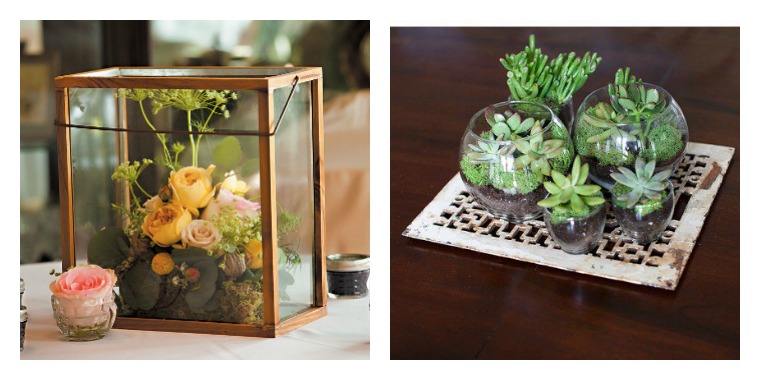 hiasan idea terarium tumbuhan hidup