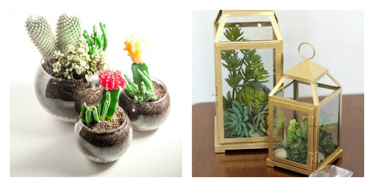 terrarium house decoration