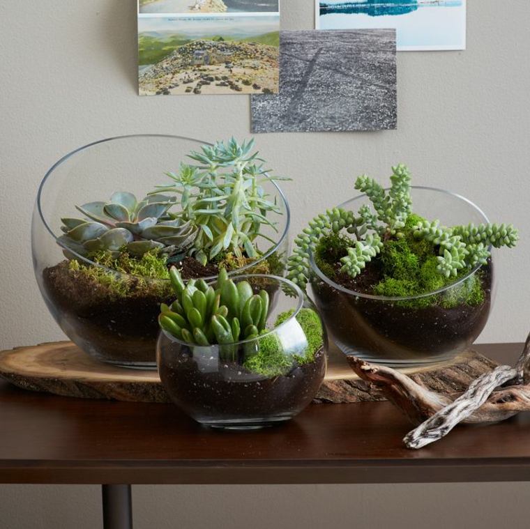 hvordan man laver hjemmelavede terrarium krukker