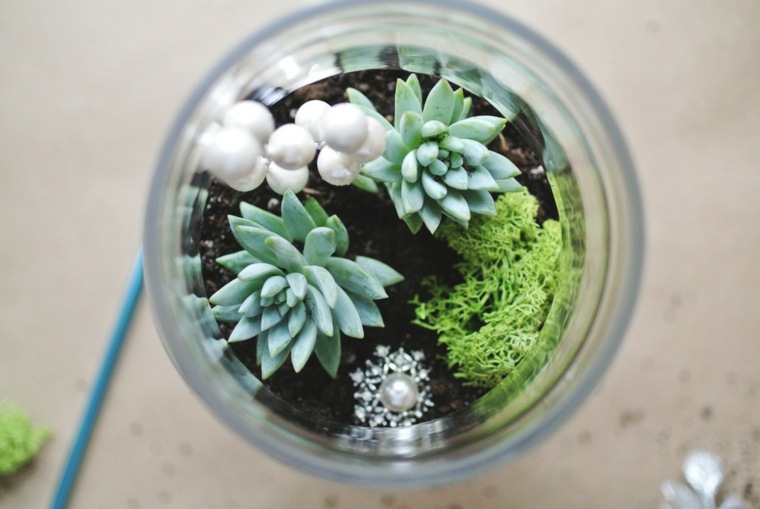 to make terrarium living plants to manufacture