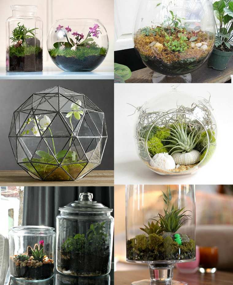 decorative terrarium idea DIY decor