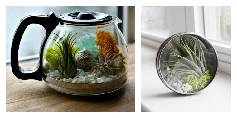 hvordan man laver metal glas terrarium