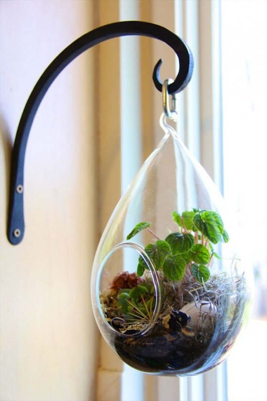 terrarium suspendert krukke dråper