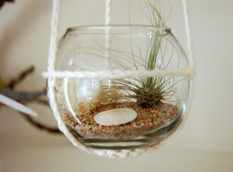 home decoration with terrarium hanging