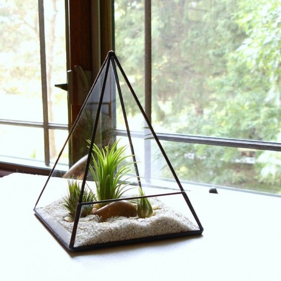 pasir terrarium segi tiga