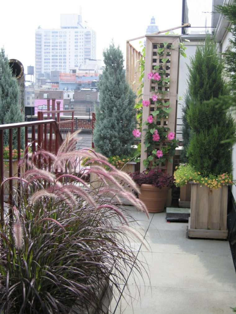 rooftop garden decoration flowers