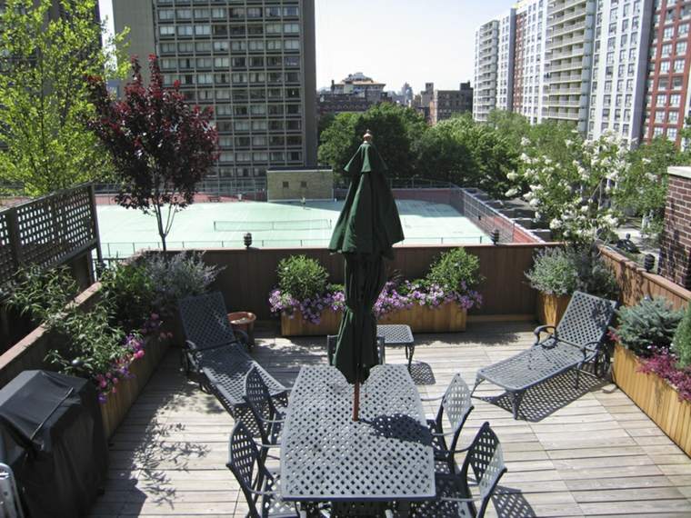 roof terraces outdoor garden plant