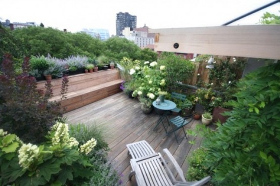 buried terrace vegetation