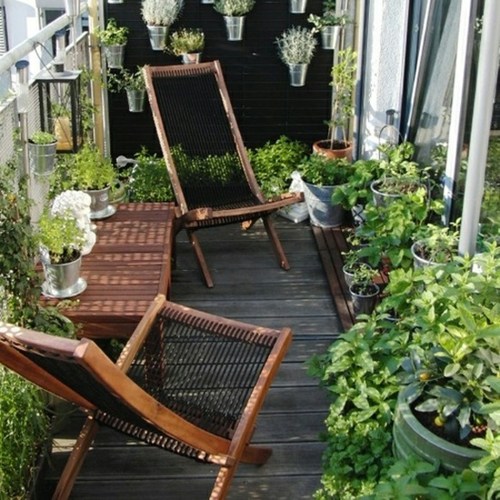 outdoor terrace decoration plants