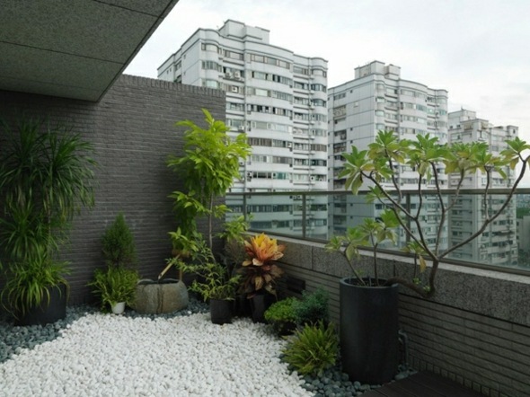 Zen modern urban terrace