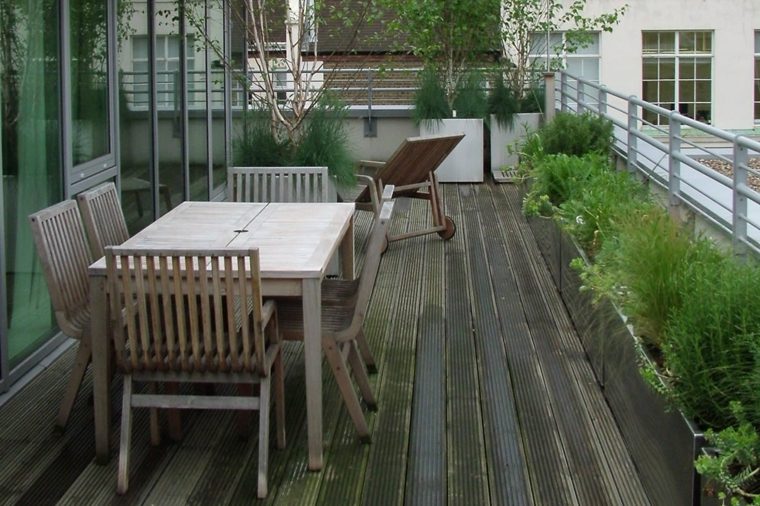 roof terrace plants