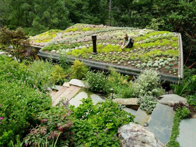 roof plant hut stairway outside stone plants