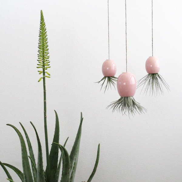 trio beautiful hanging flower pots