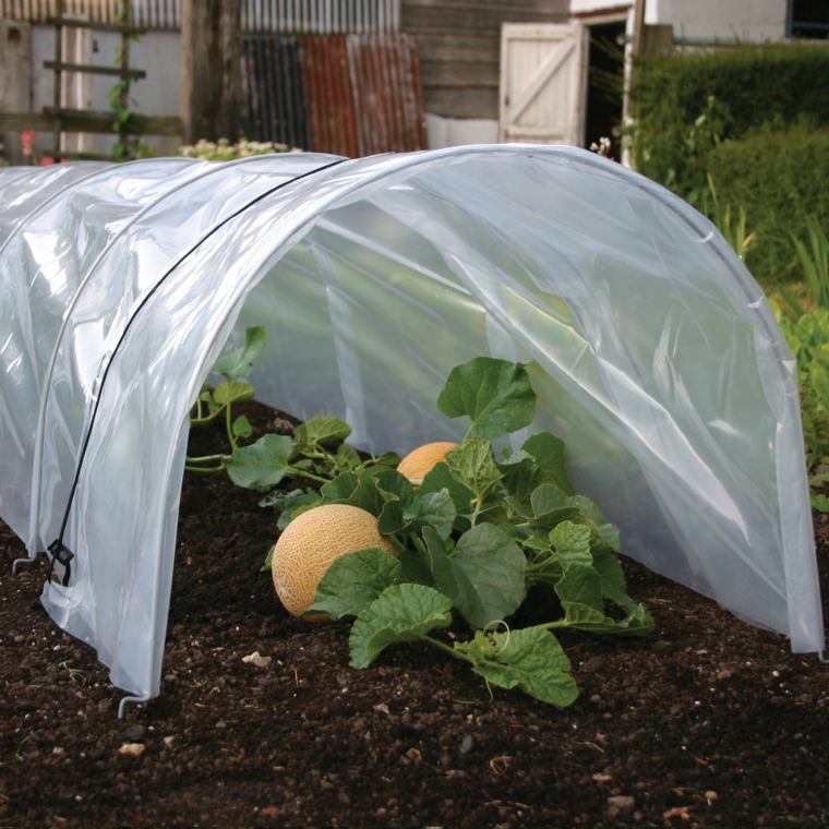 melon garden tunnel