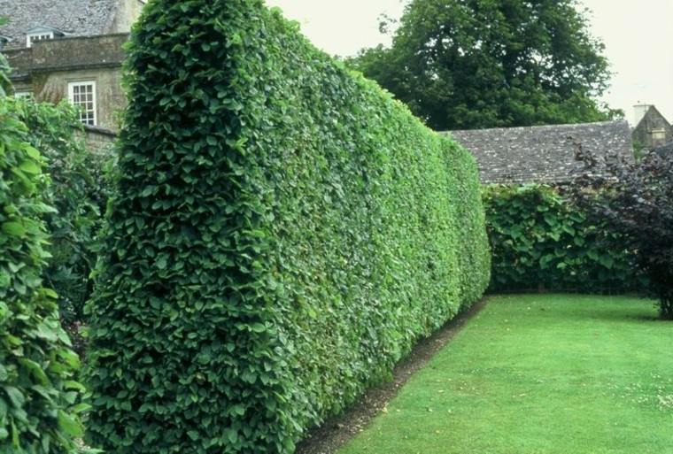 a wall of throene cut into a breeze