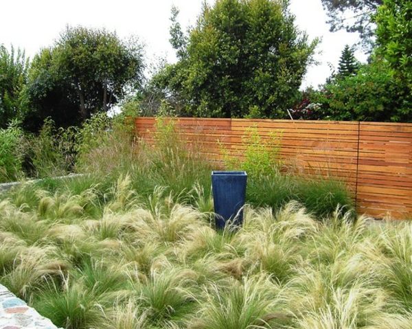 abundant vegetation garden partition