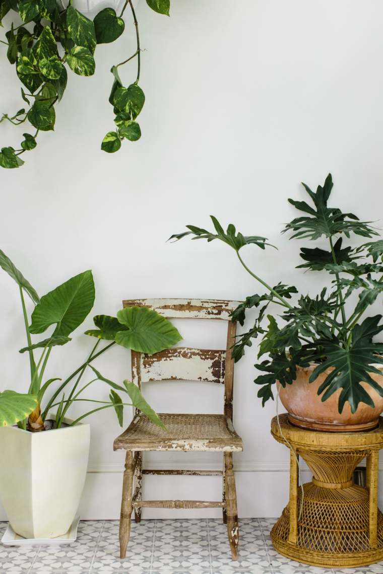 veranda idee decoration plant pot'interieur