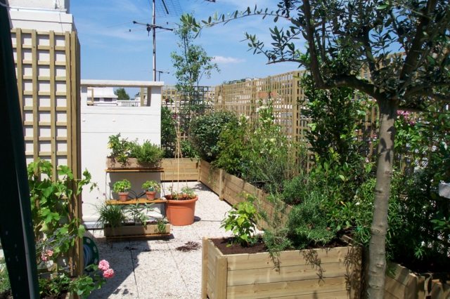 balcony view mini garden