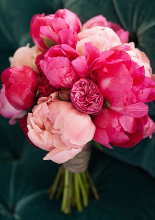 rosa peonies bukett utsikt