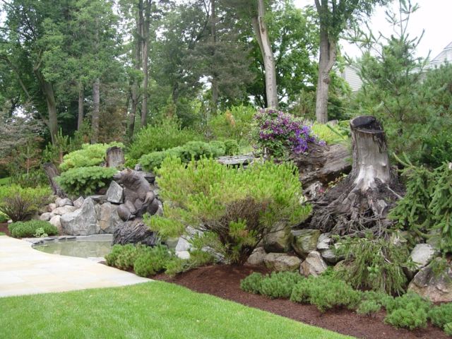 exotic garden view natural decoration tree trunk