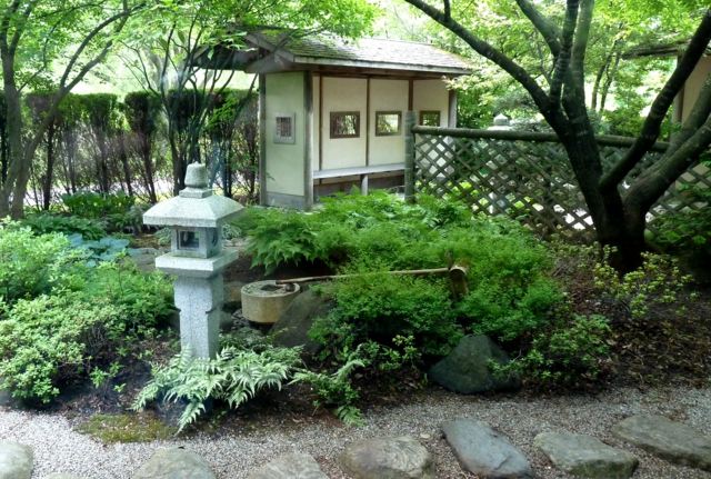 green japanese garden view