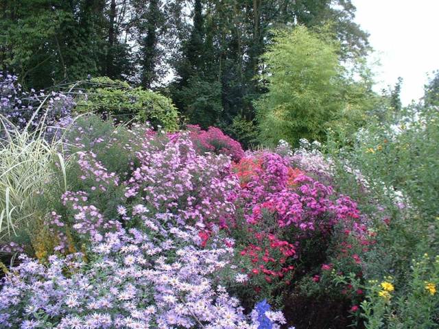 heavenly garden view