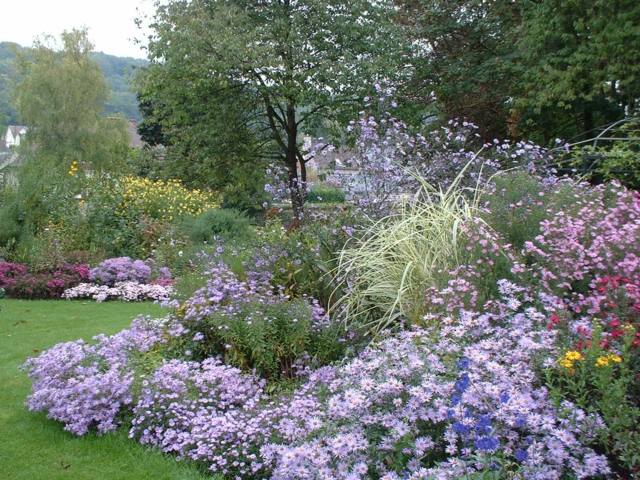 beautiful garden view