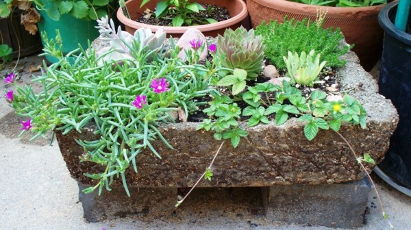 mini garden stone view