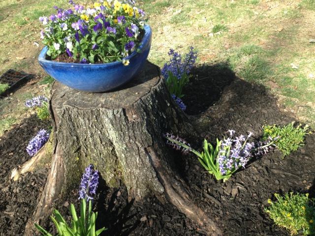 view blue pot trunk tree garden