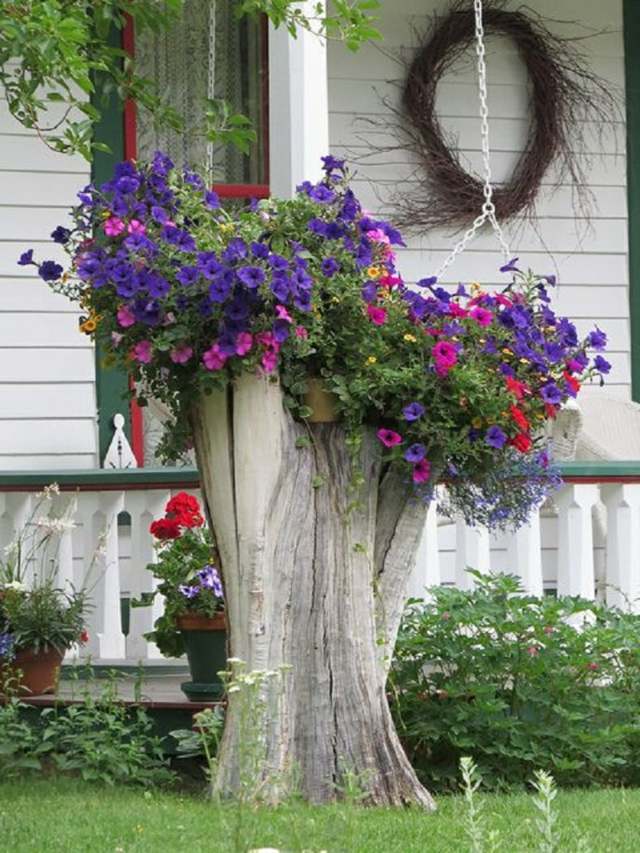 view tree trunk purple flowers decoration