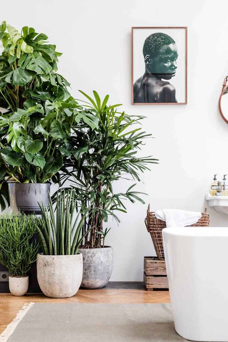 deco idea bathroom nature plant pot deco wall idea pot