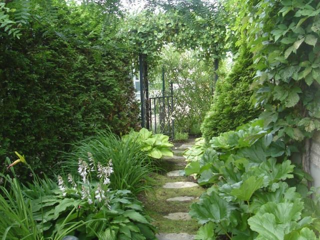 zoom-alley-garden stone