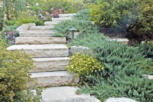 zoom stone stairs garden