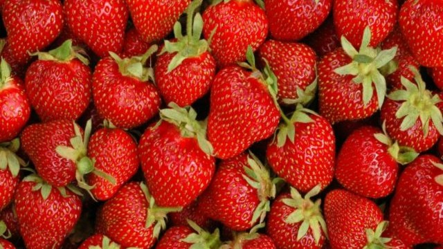 Strawberry potted zoom fresh strawberries