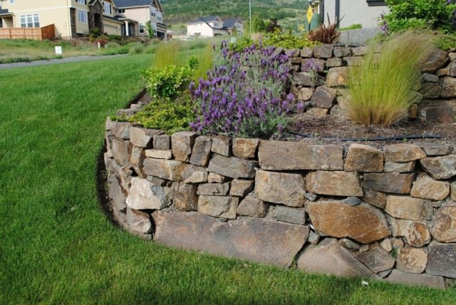 zoom natural stone wall